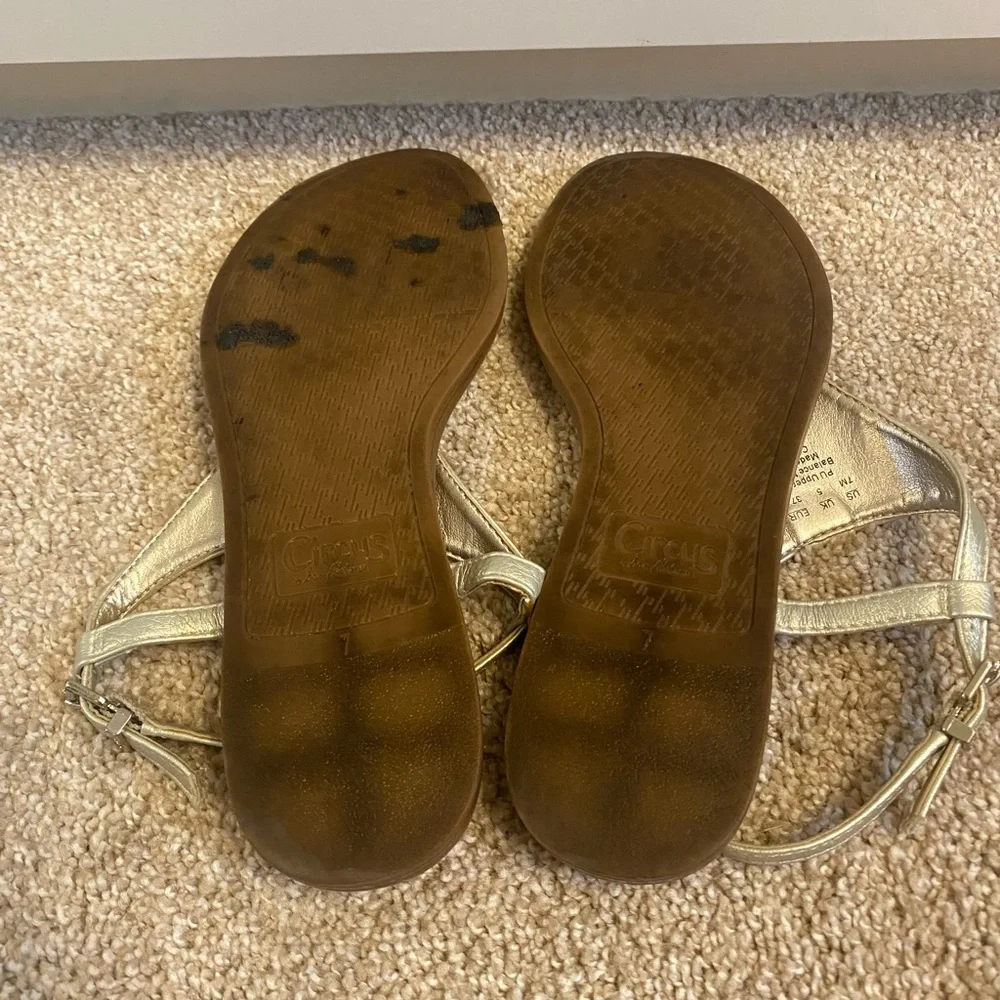 Circus by Sam Edelman Carolina Silver and Brown Sandals